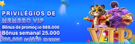 Programa VIP hanzbet